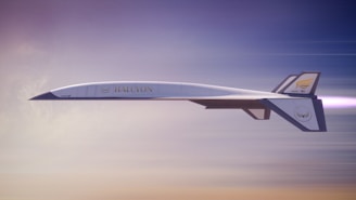 a jet flying in the sky
