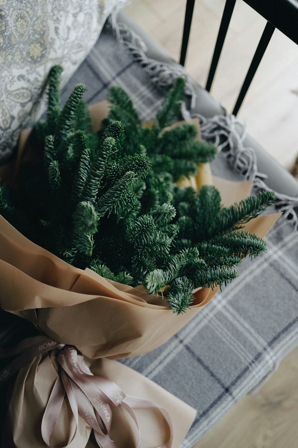 a hand holding a green plant