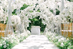 a courtyard with white flowers