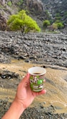 Hands holding a hot beverage in a branded Ecocup Nevşehir cardboard cup outdoors