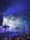 A lively night scene at a music festival with a crowd of people gathering under bright, colorful stage lights. Palm trees and fog effects enhance the tropical ambiance, with beams of light creating a dynamic and energetic atmosphere.