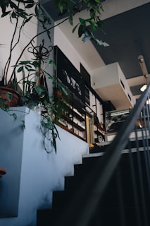 An indoor space featuring a staircase leading upwards, adorned with potted plants and lush greenery. The walls are light-colored, and there are shelves filled with items, suggesting a cozy and inviting atmosphere. Ambient lighting and eclectic decor elements give the room a charming aesthetic.