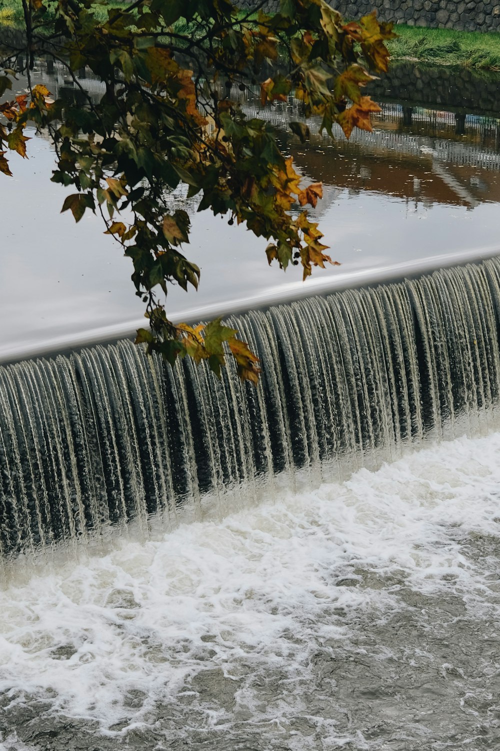 a waterfall with a tree in the background