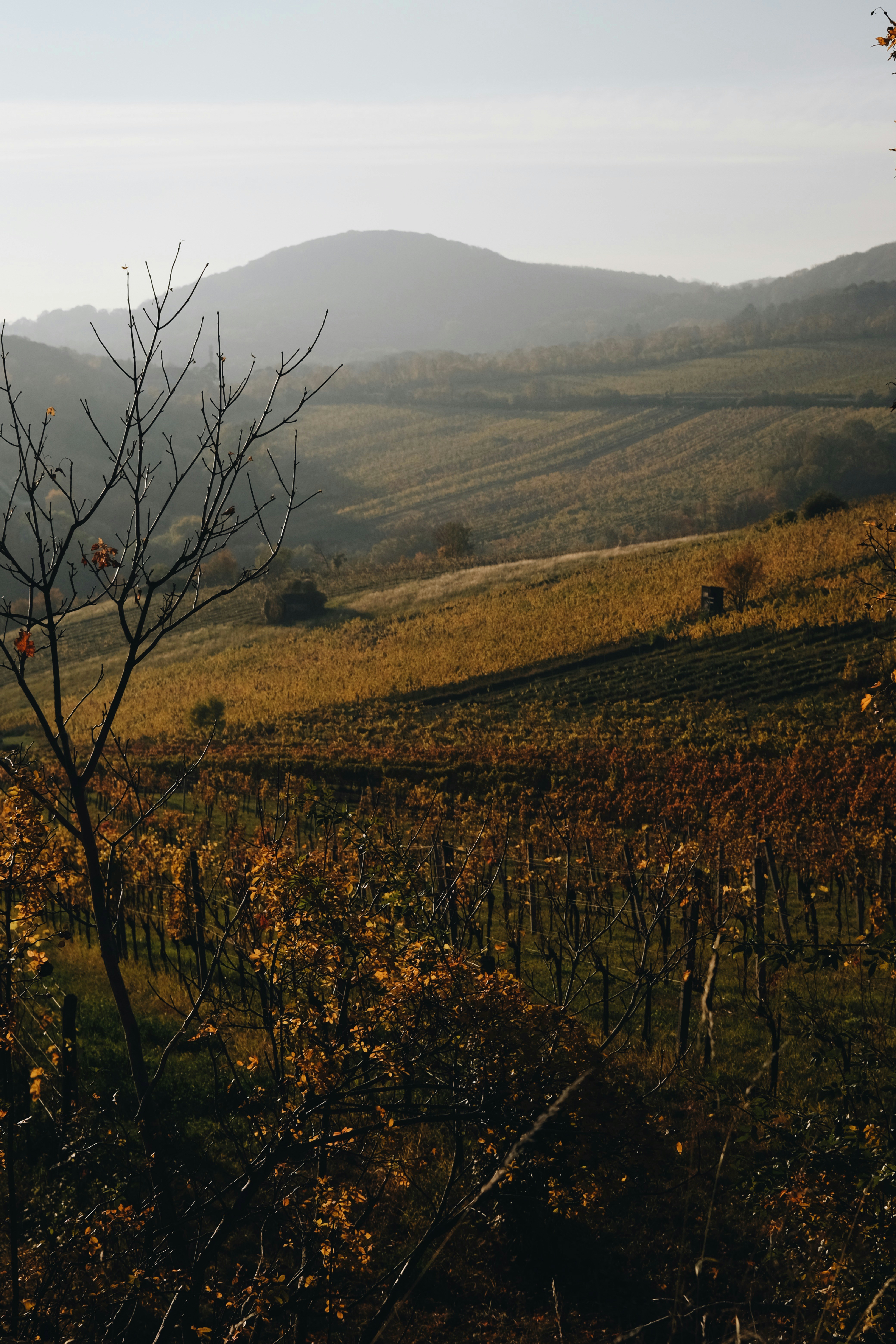 Photo by cherenkevich