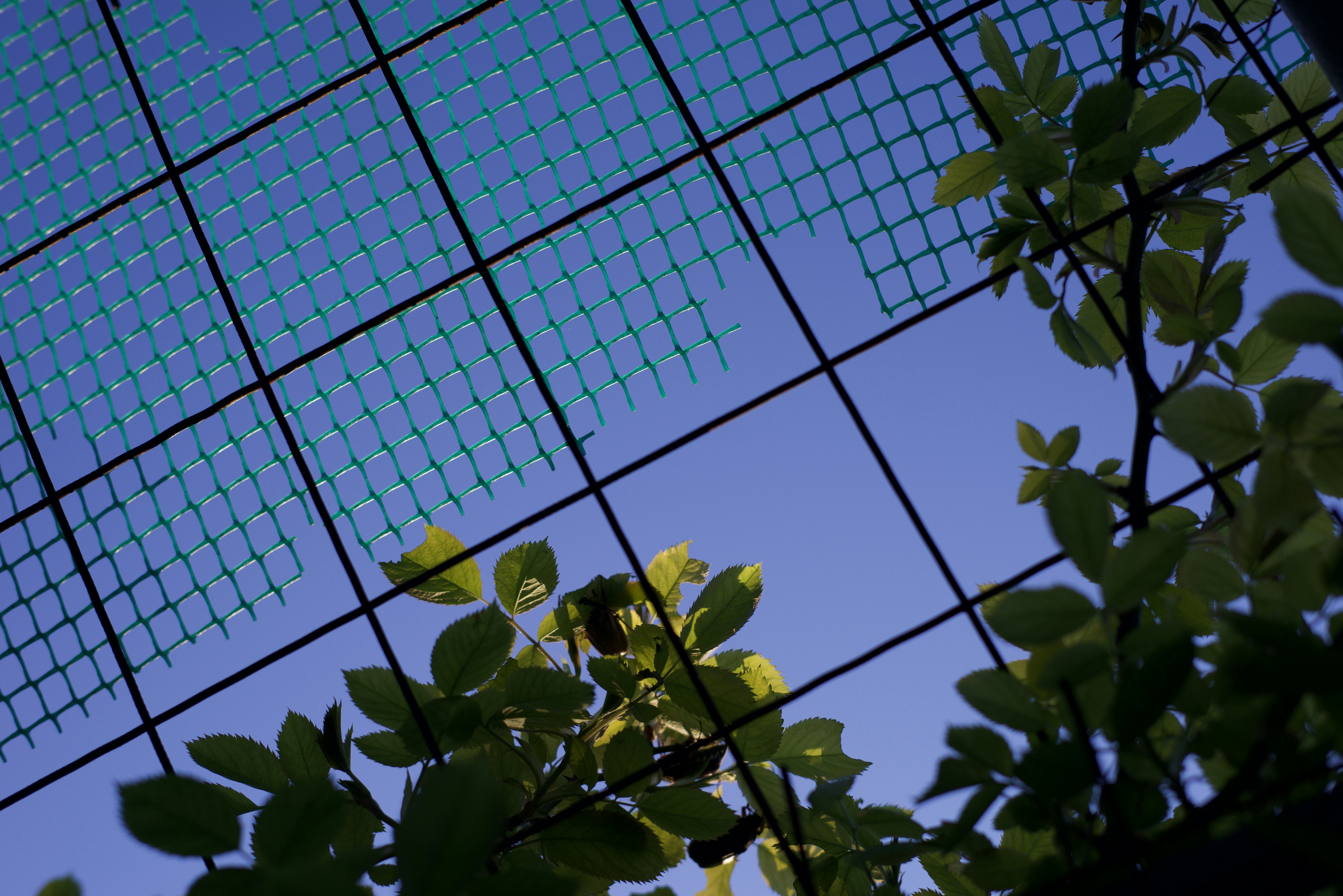a tree with a solar panel