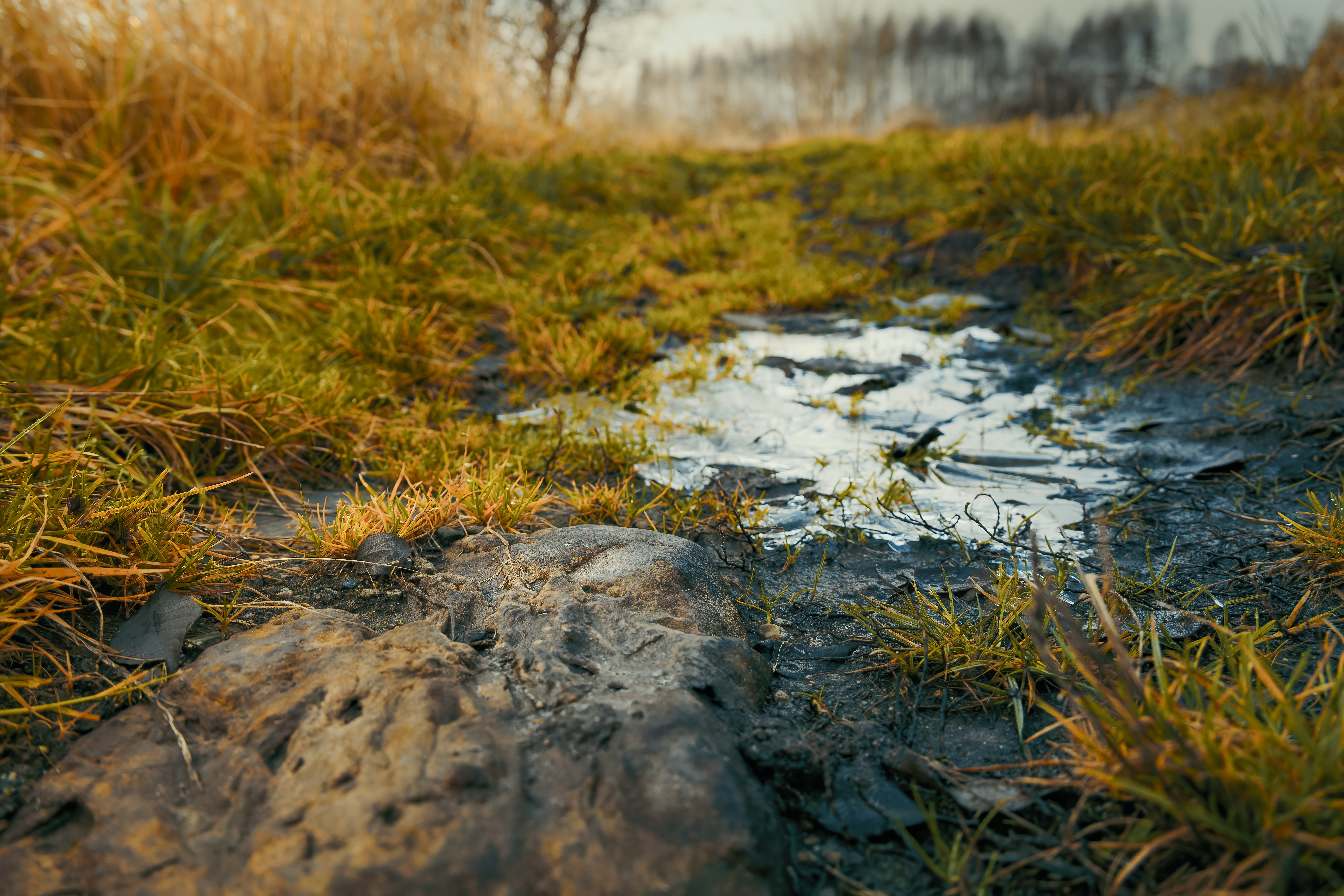 Photo by mcisowski