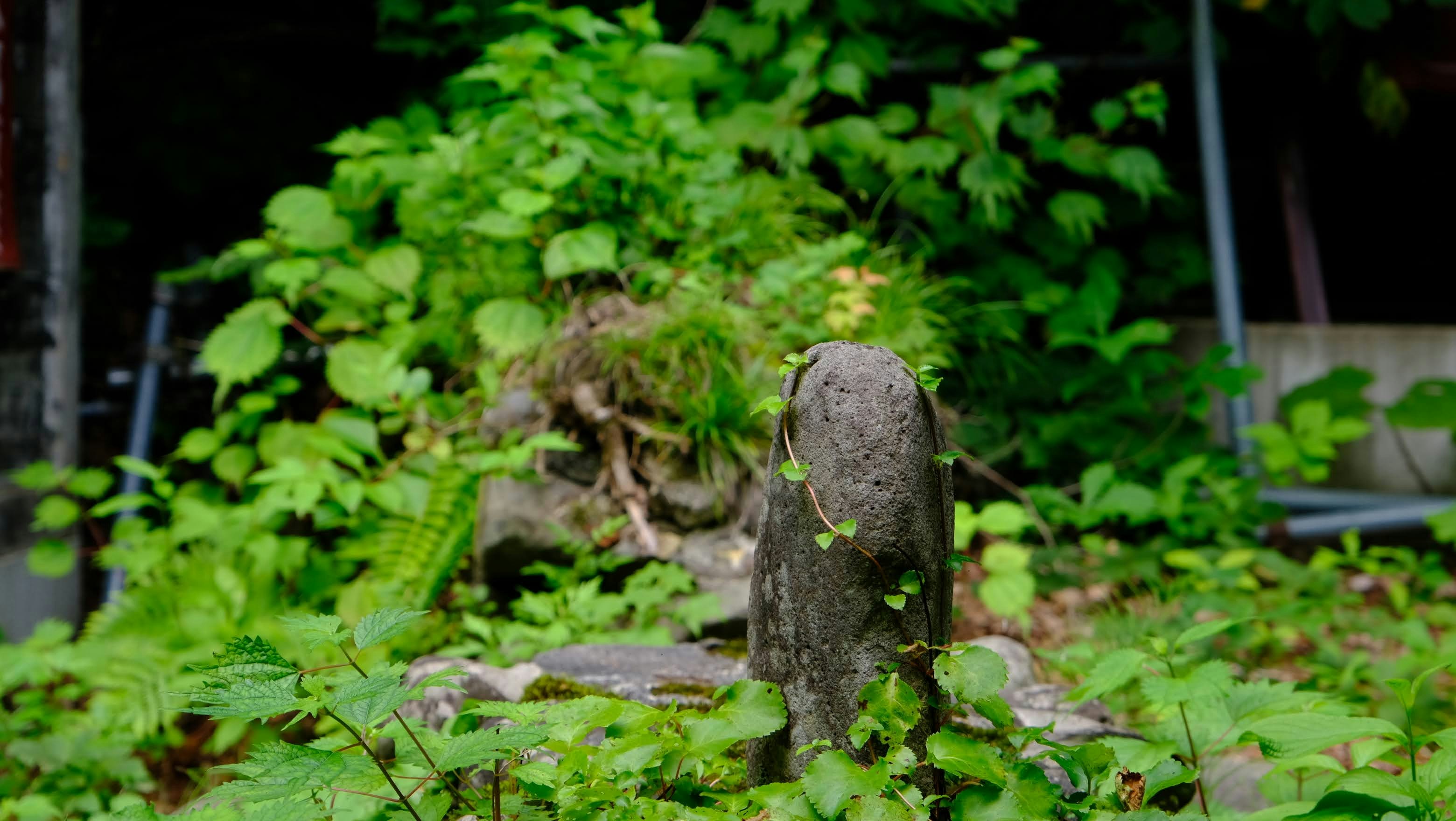 Photo by seiya_maeda