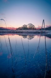 Serenity for you and your family knowing that crisis interventions are available for you