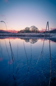 Serenity for you and your family knowing that crisis interventions are available for you