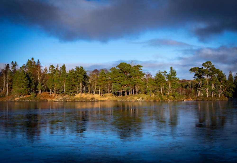 a body of water with trees around it