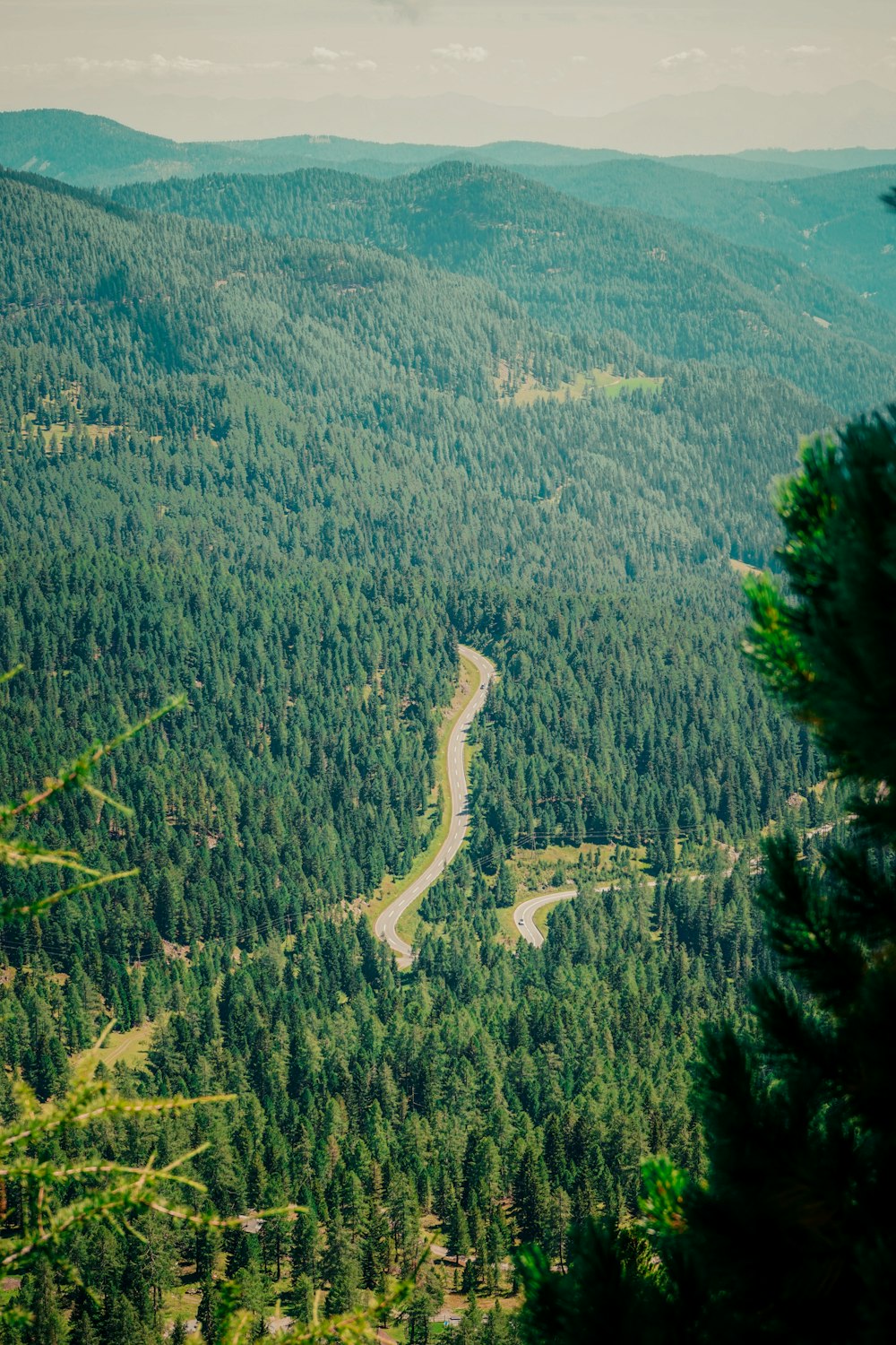 a winding road through a forest