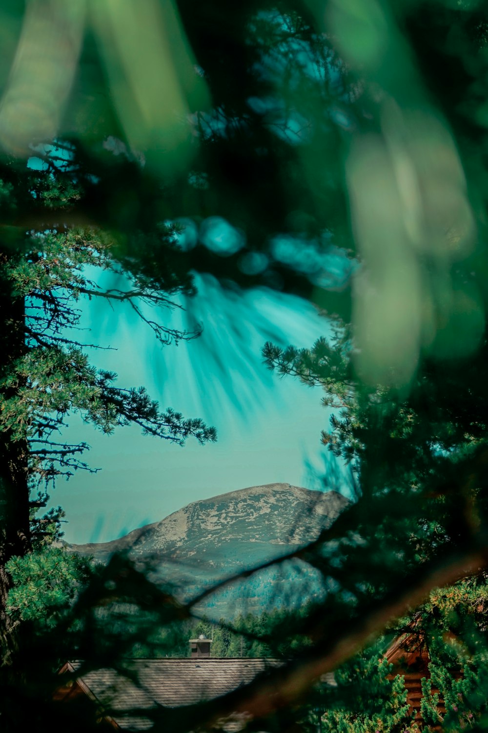 a waterfall in a forest