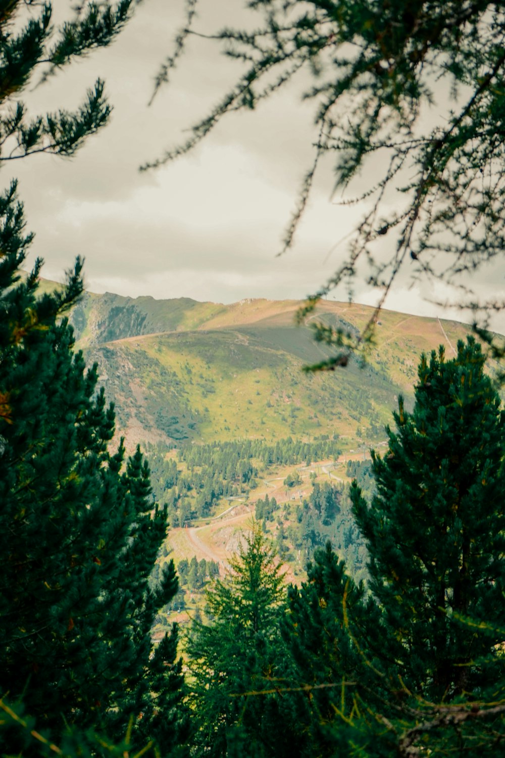 a valley with trees and hills