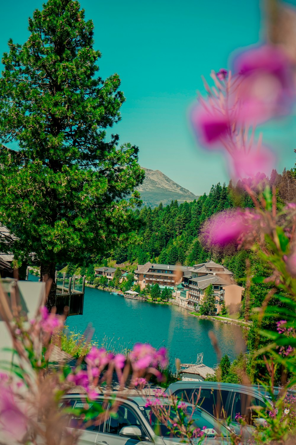 a view of a pool and some trees