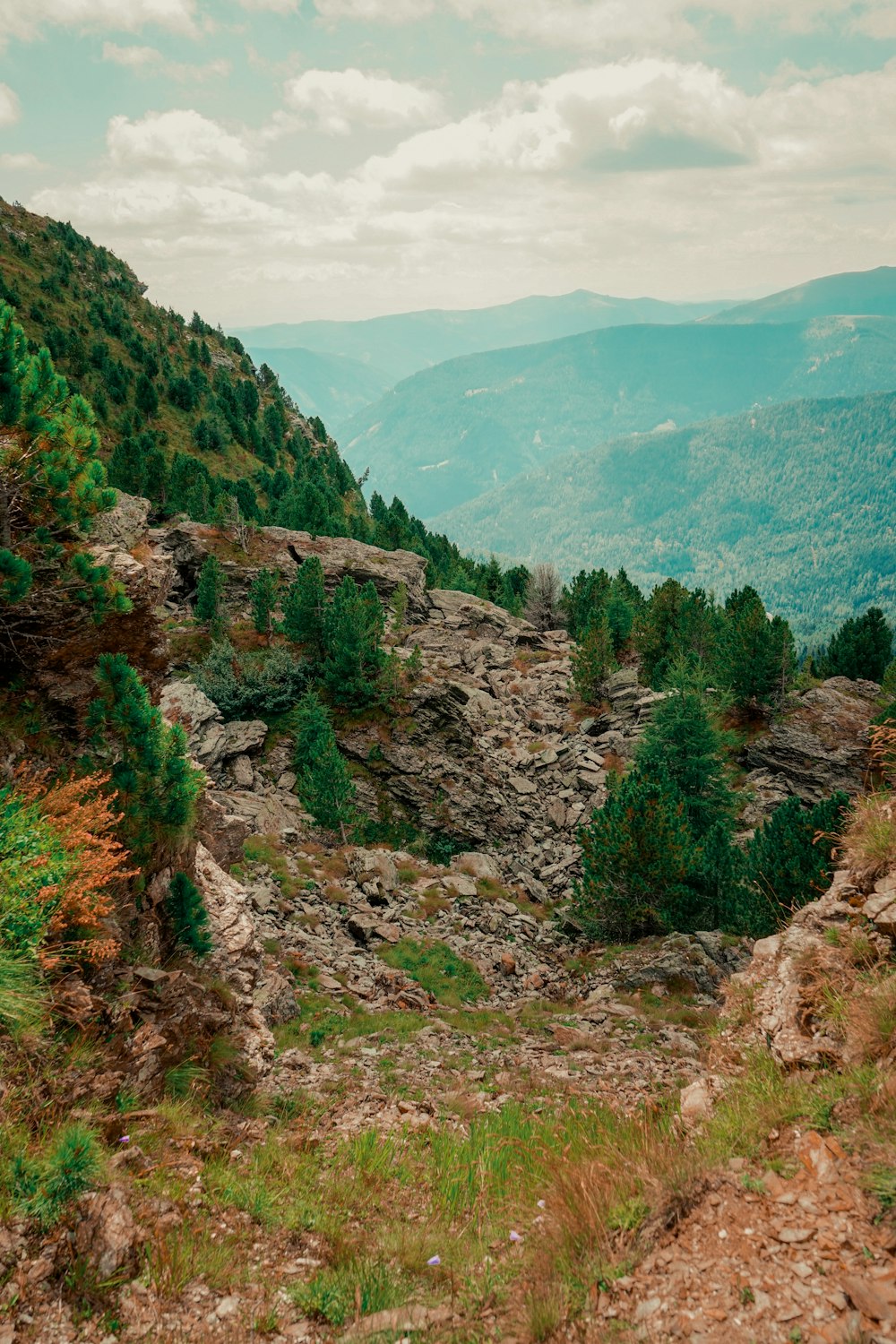 a rocky hillside with trees and mountains
