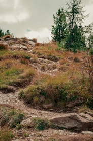 A rocky and grassy trail winding through a hilly landscape, with sparse vegetation including small trees and shrubs. The sky is partially cloudy, providing a gentle backdrop to the scene. The terrain appears rugged and natural, suggesting a serene outdoor environment.