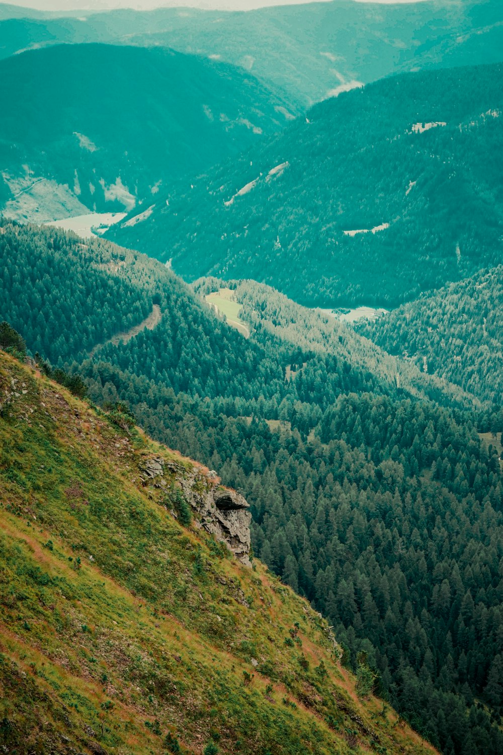 a large green landscape