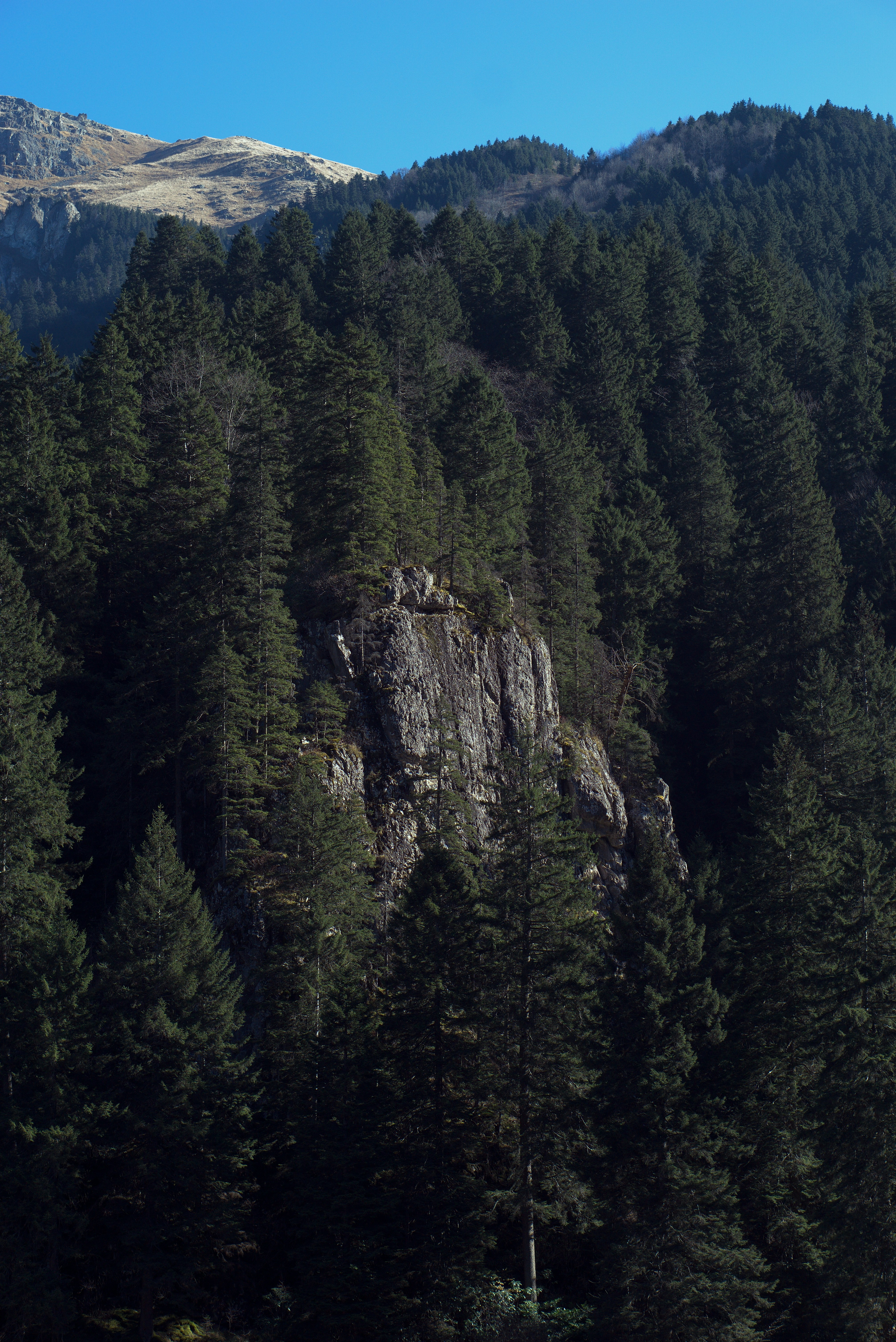 Photo by astashov_artem