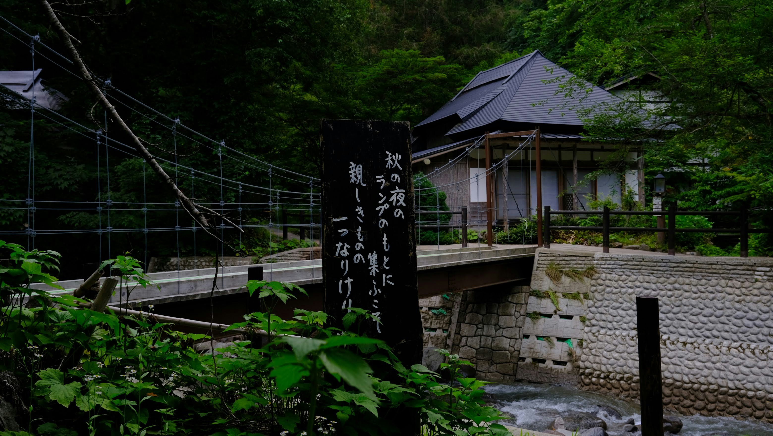 임진강 댑싸리정원 입장료 관련 이미지1