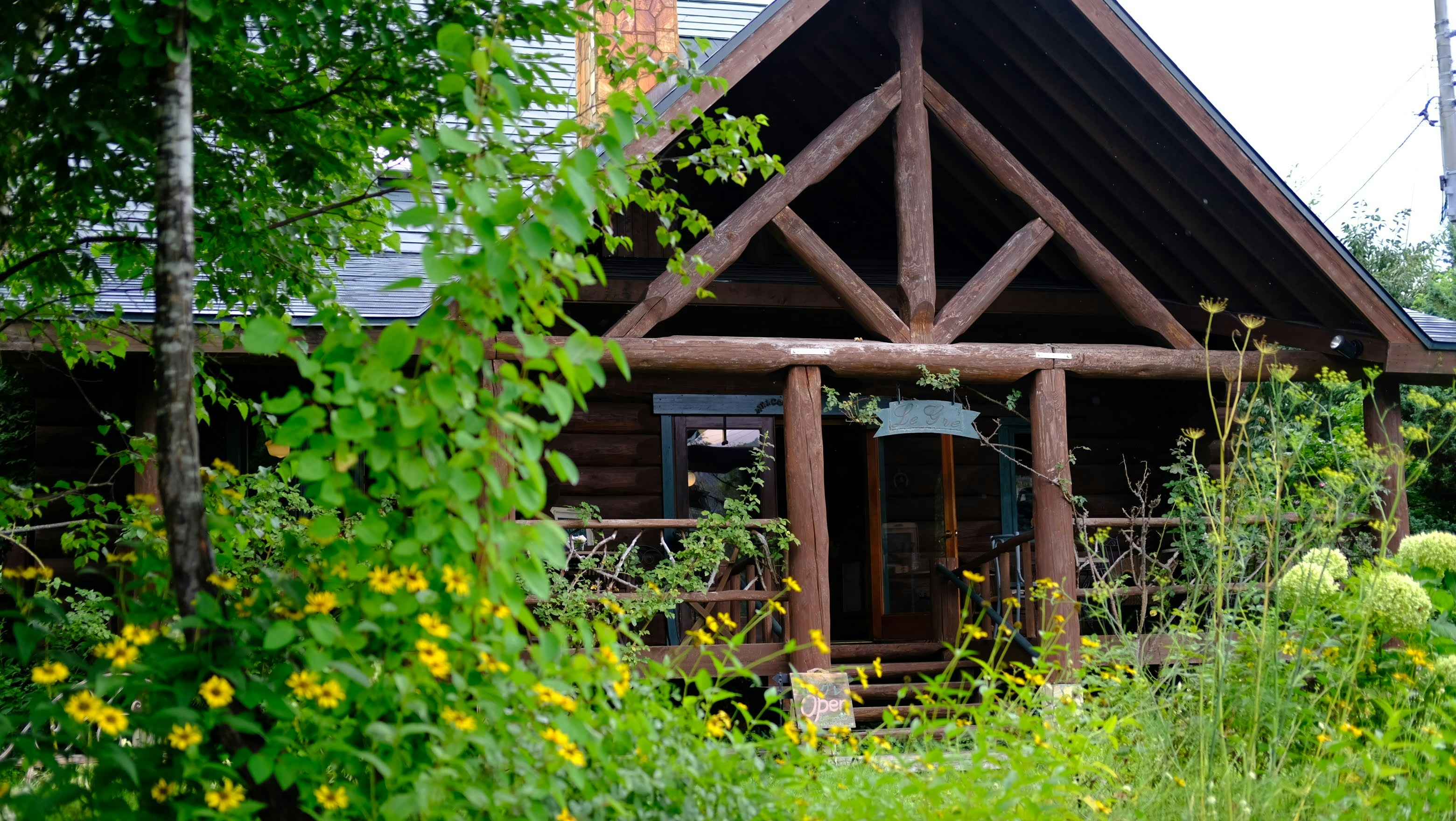 Photo by seiya_maeda