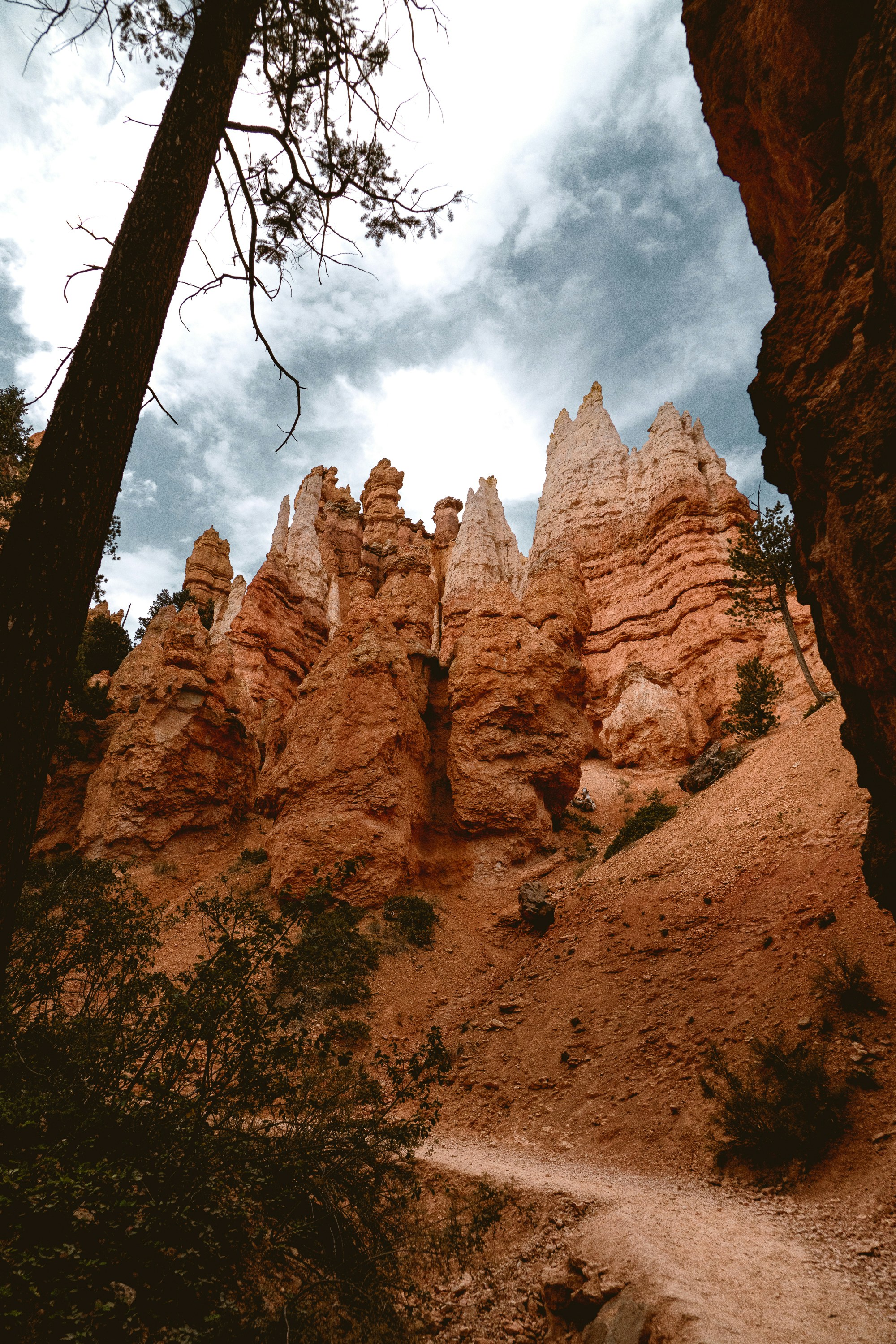 Photo by ryanhoffman007