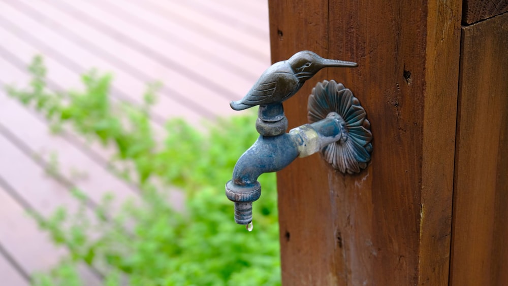 a bird on a bird feeder