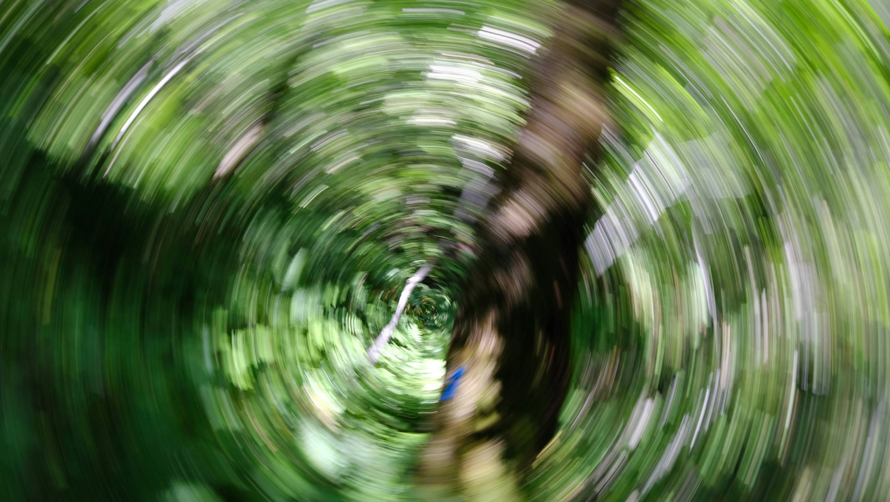 Photo by seiya_maeda