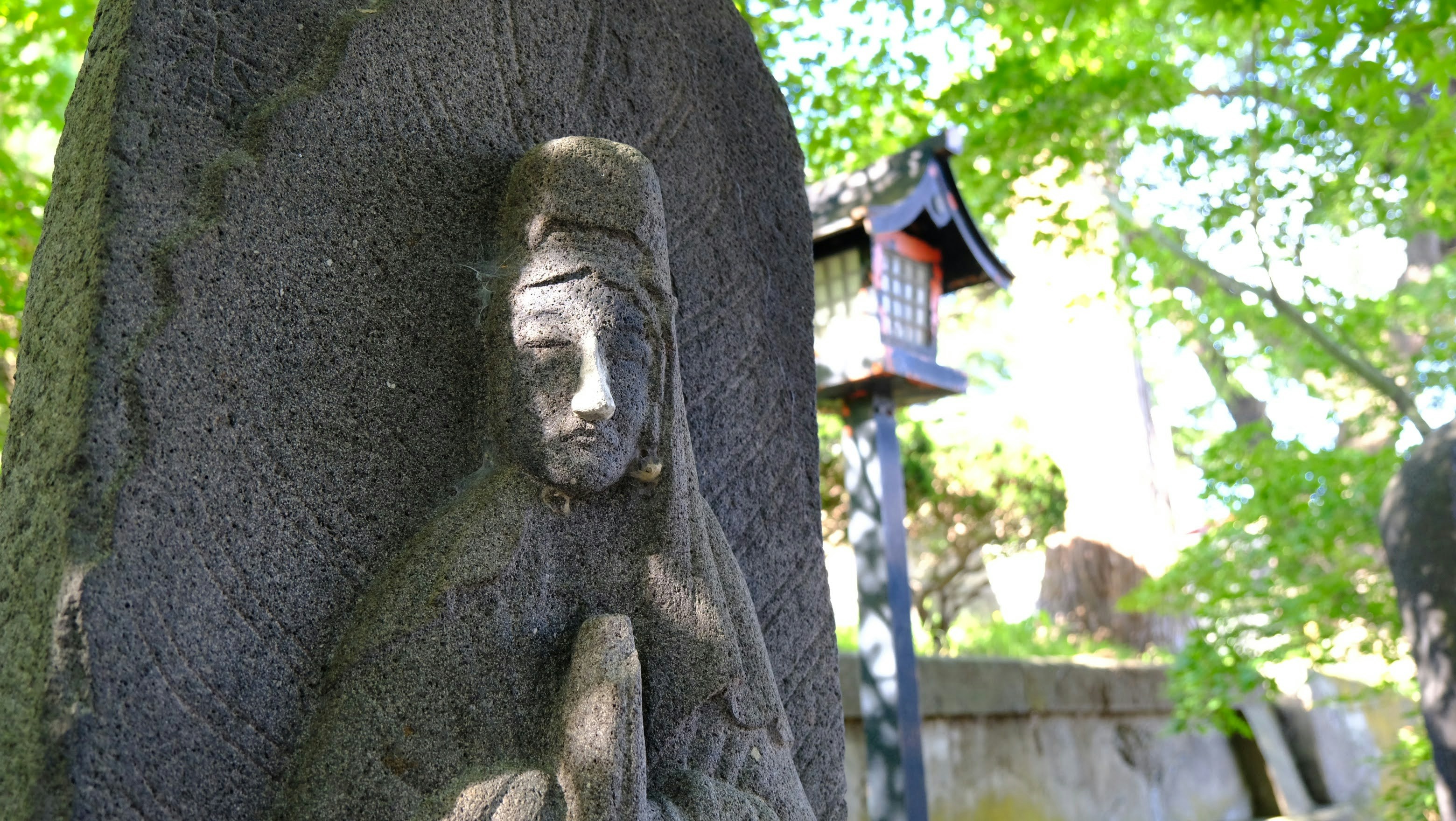 Photo by seiya_maeda