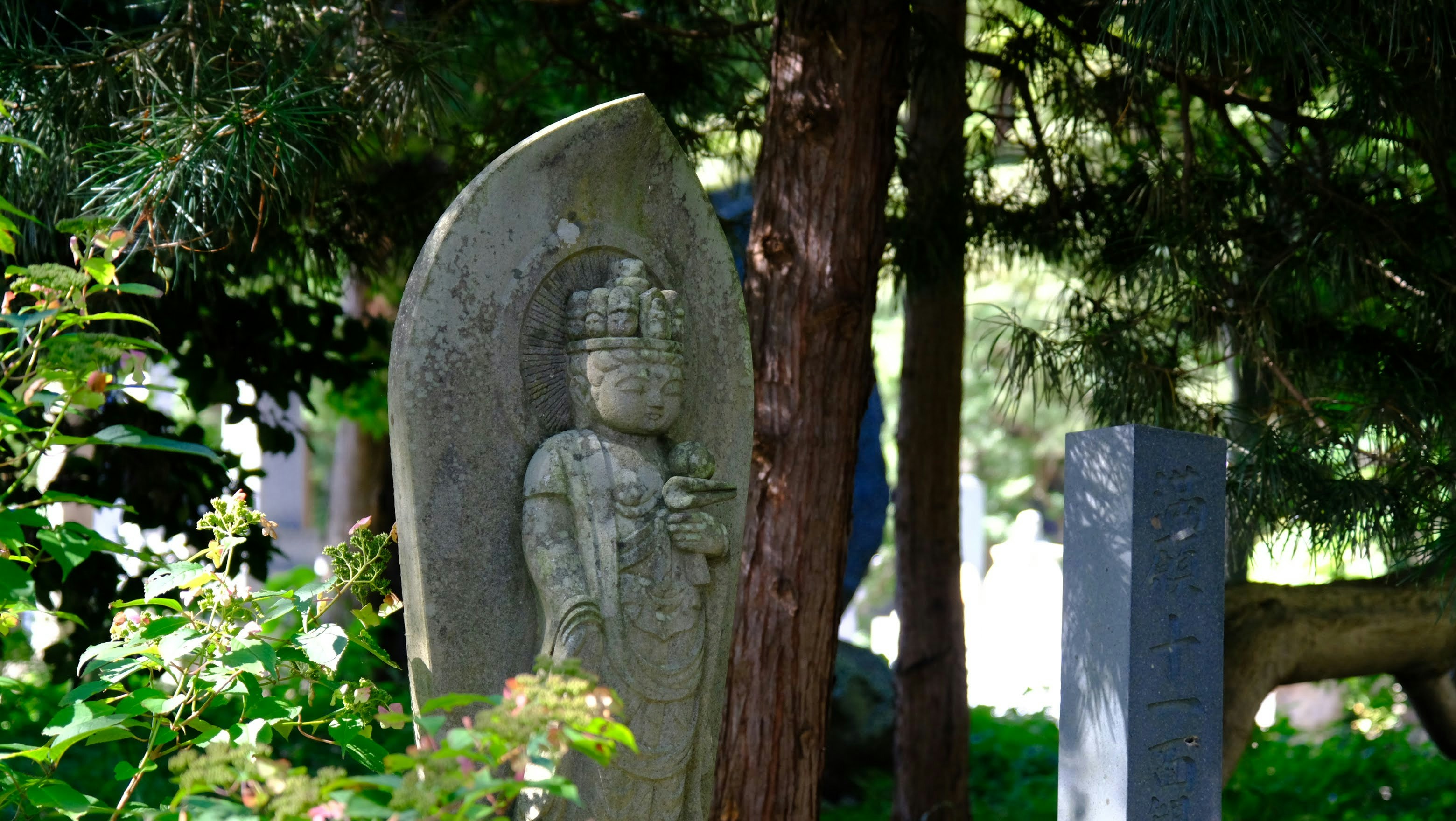 Photo by seiya_maeda