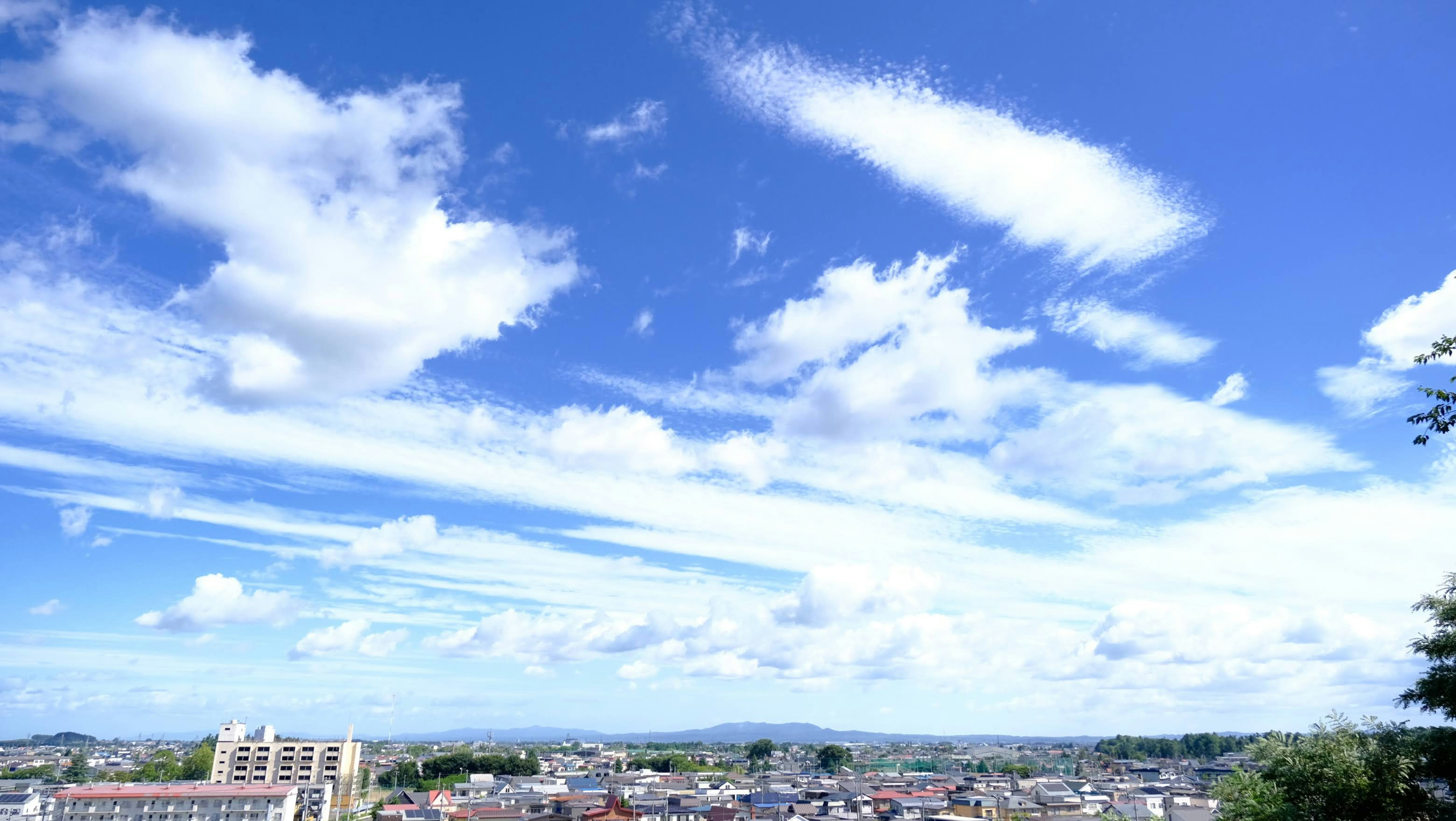 Photo by seiya_maeda