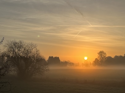 A serene landscape with a sunrise, symbolizing new beginnings and conscious living.