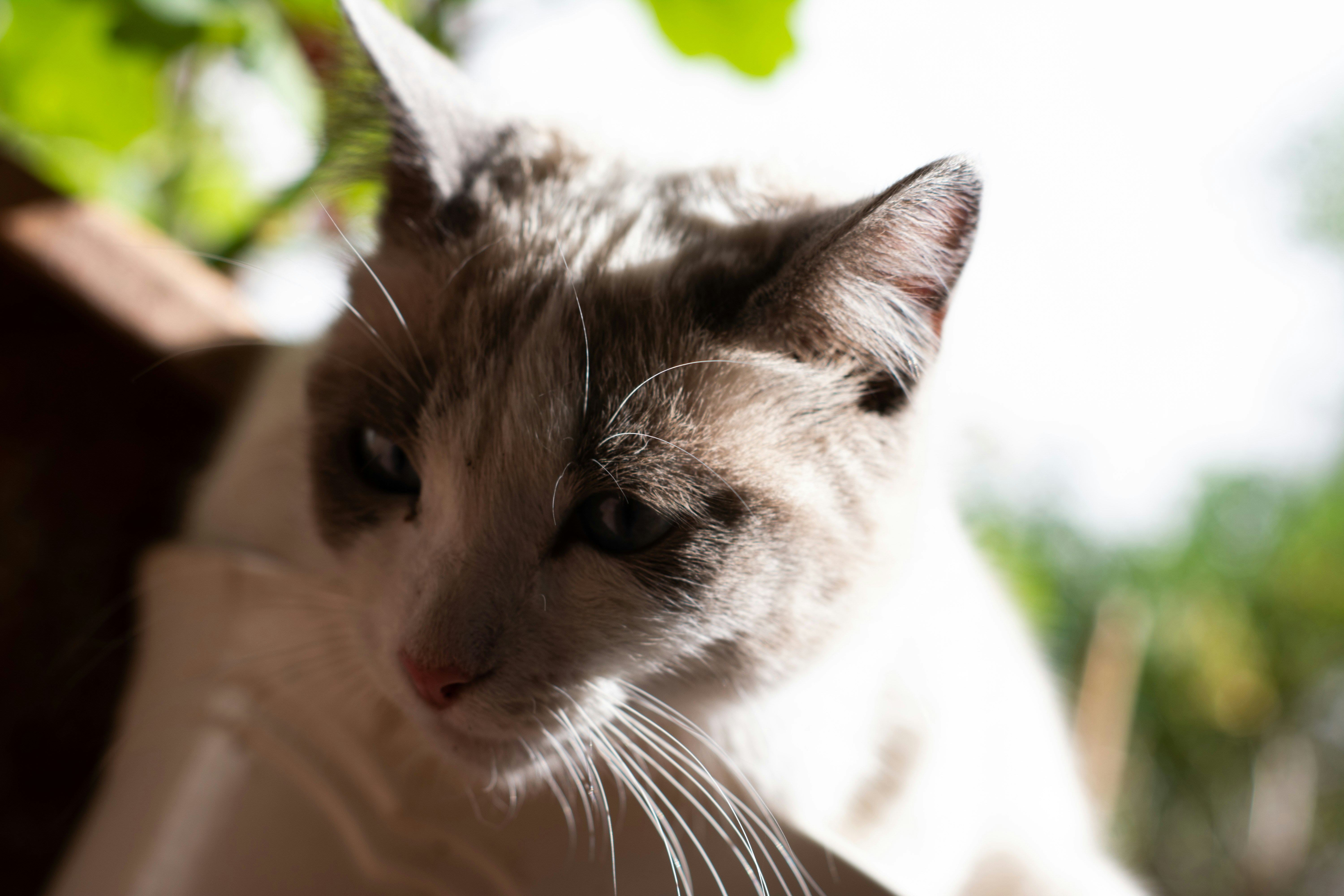 Photo by m_e_r_a__20_