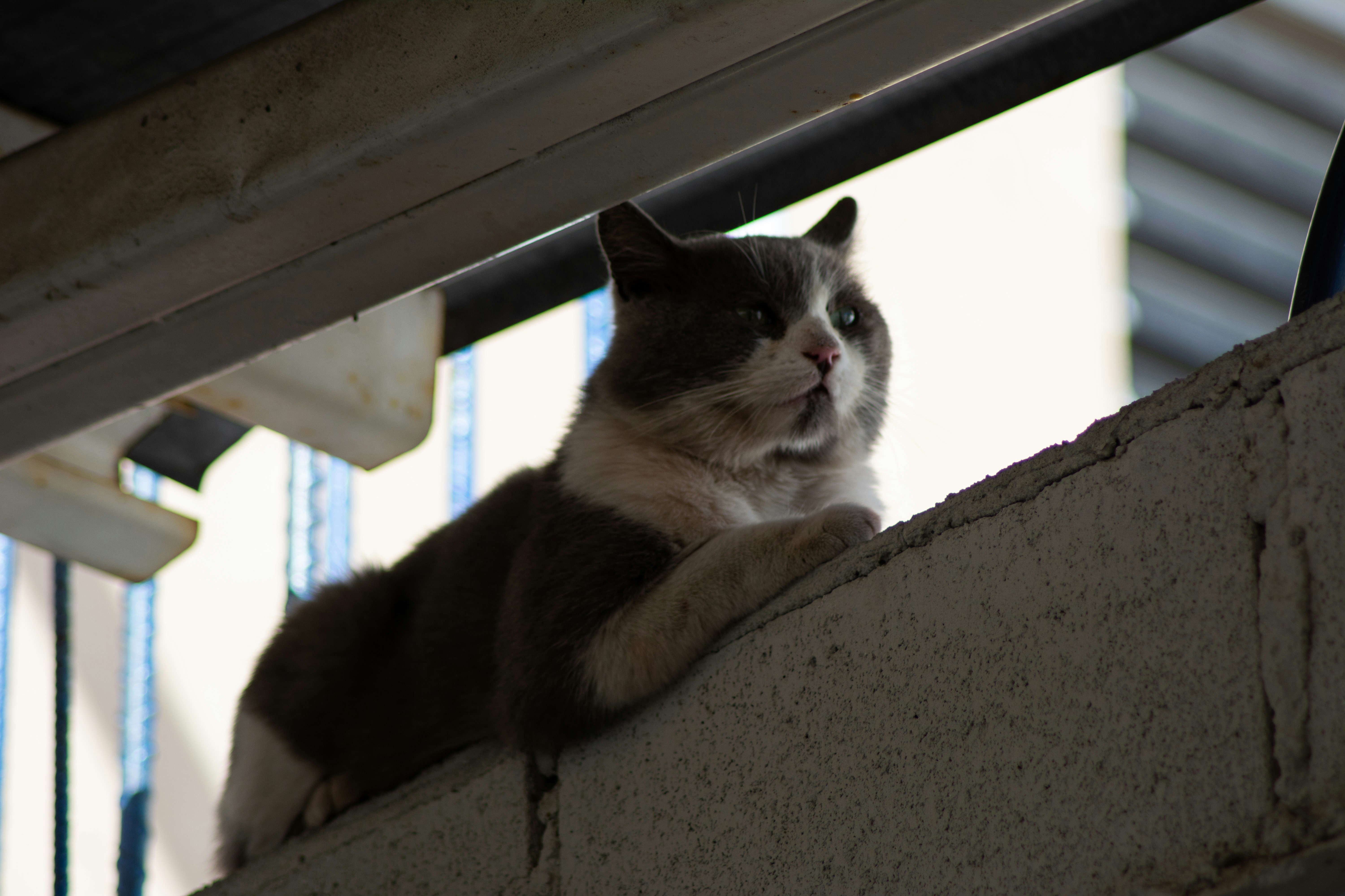 Photo by m_e_r_a__20_