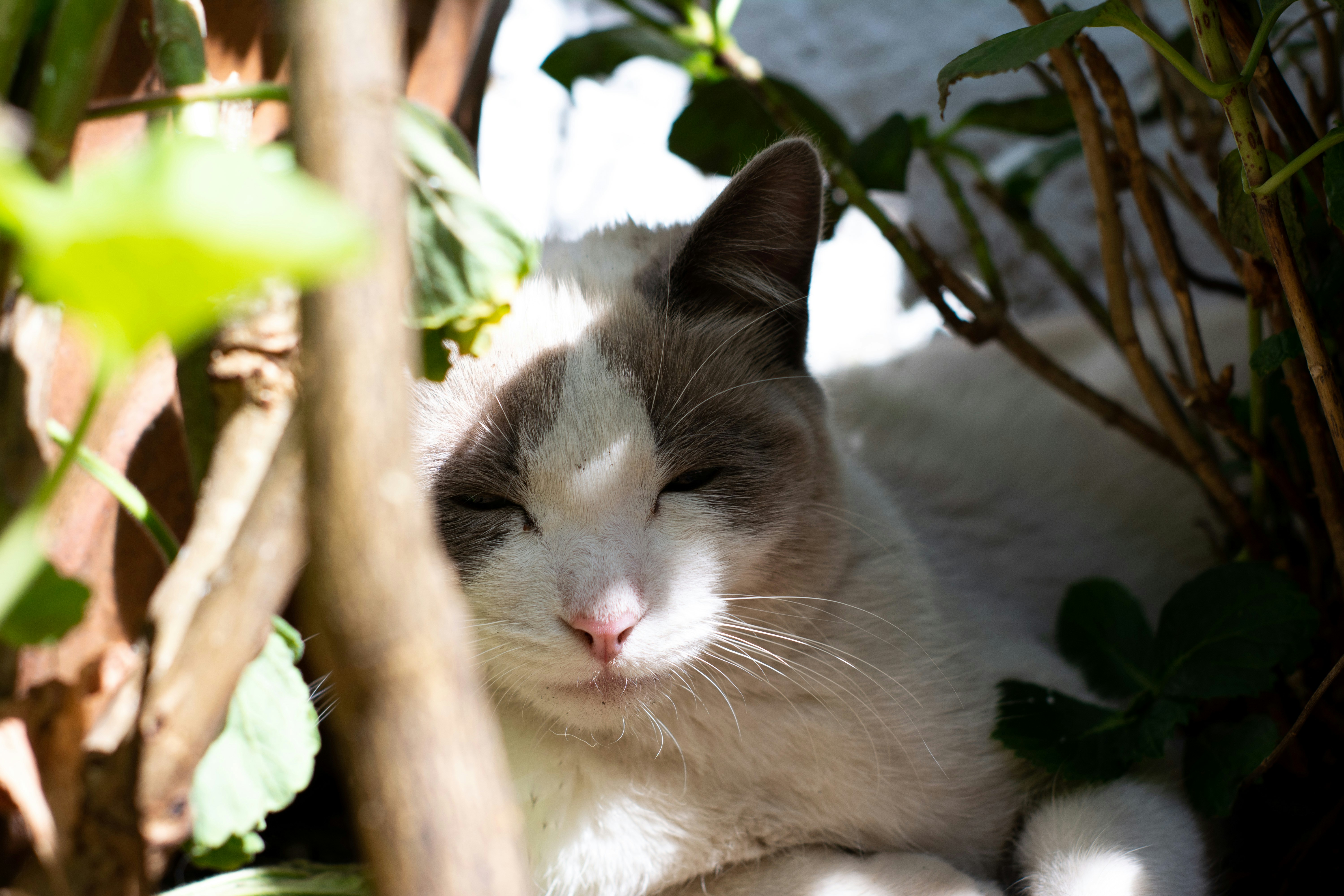 Photo by m_e_r_a__20_