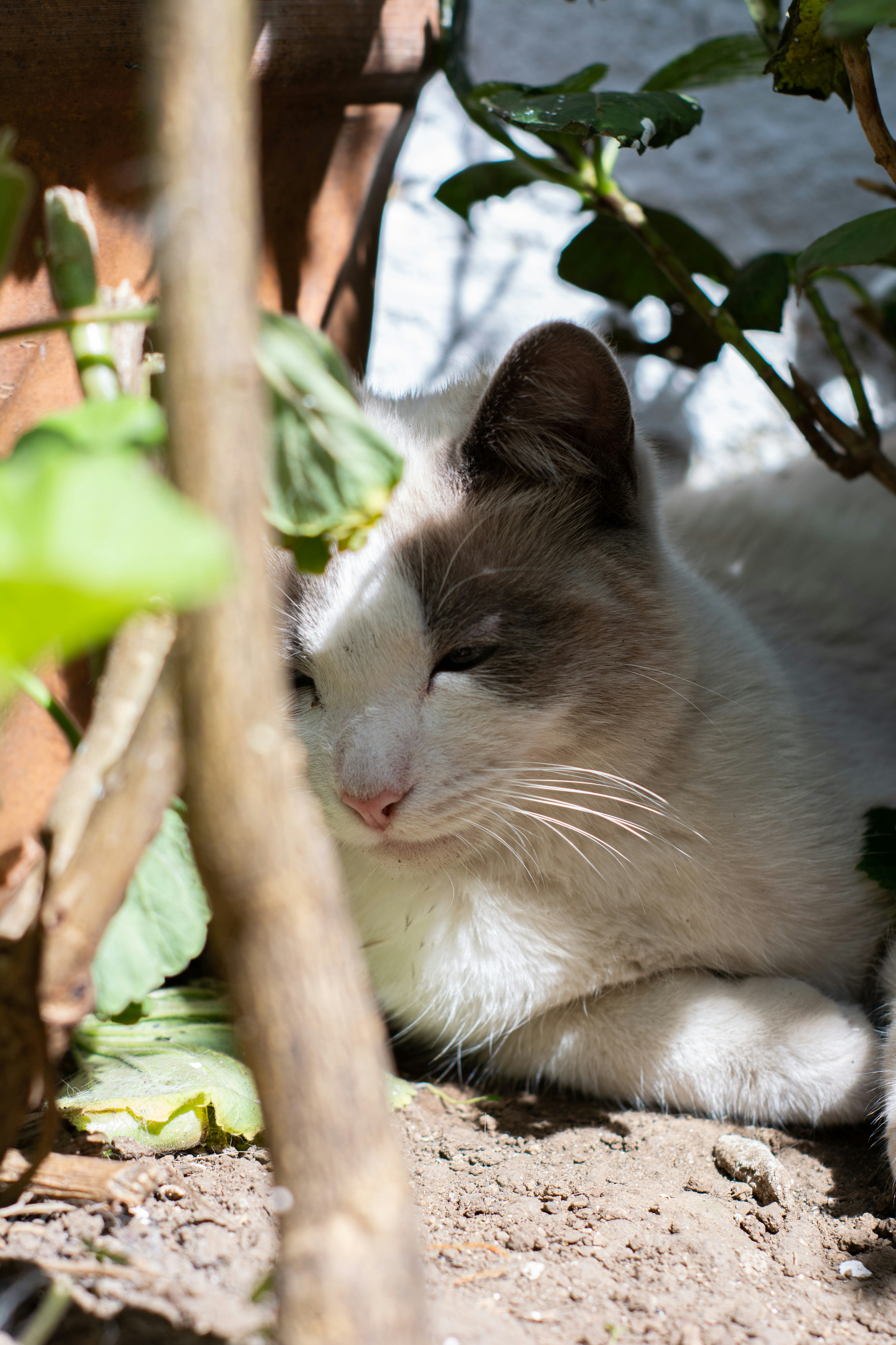 Photo by m_e_r_a__20_