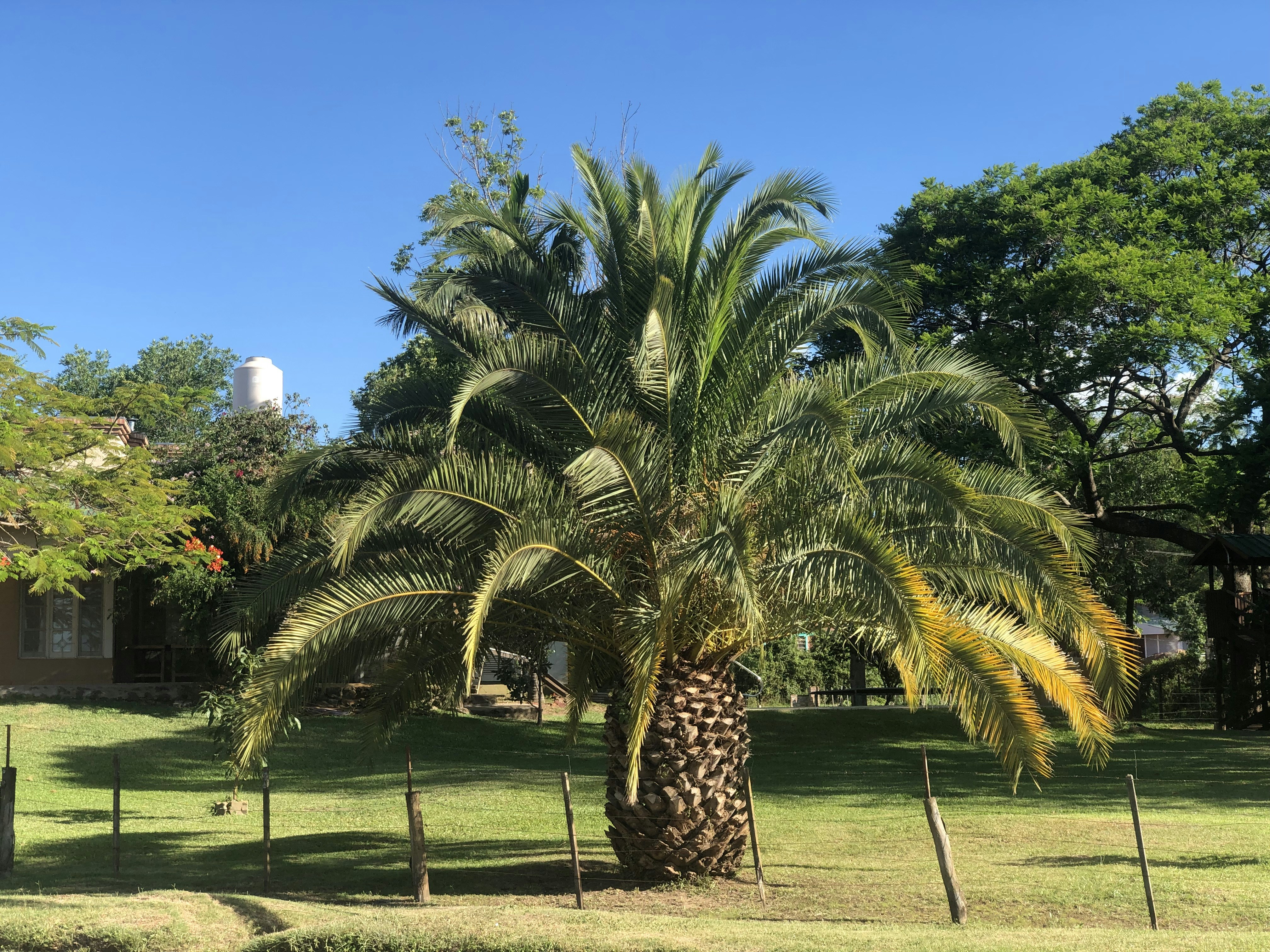 Photo by sunshinestudio82