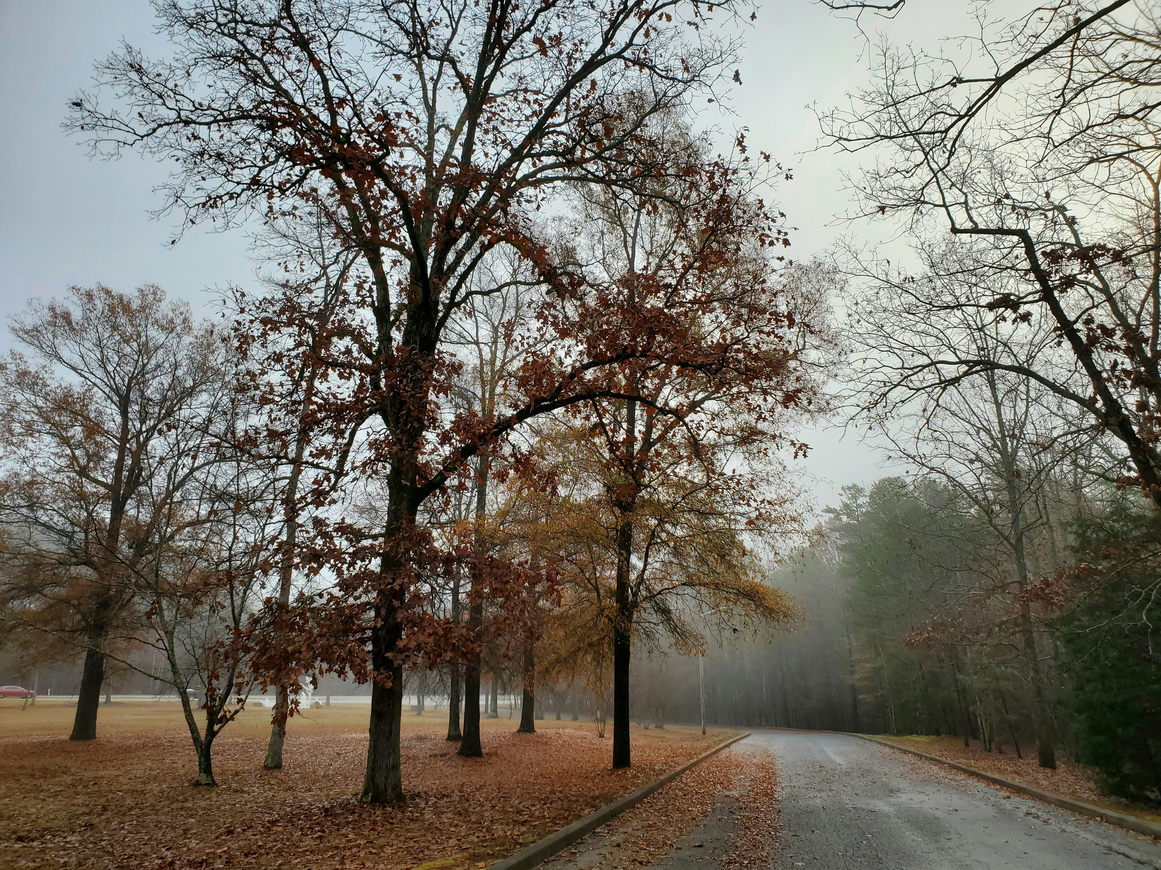 Photo by karolinabobek