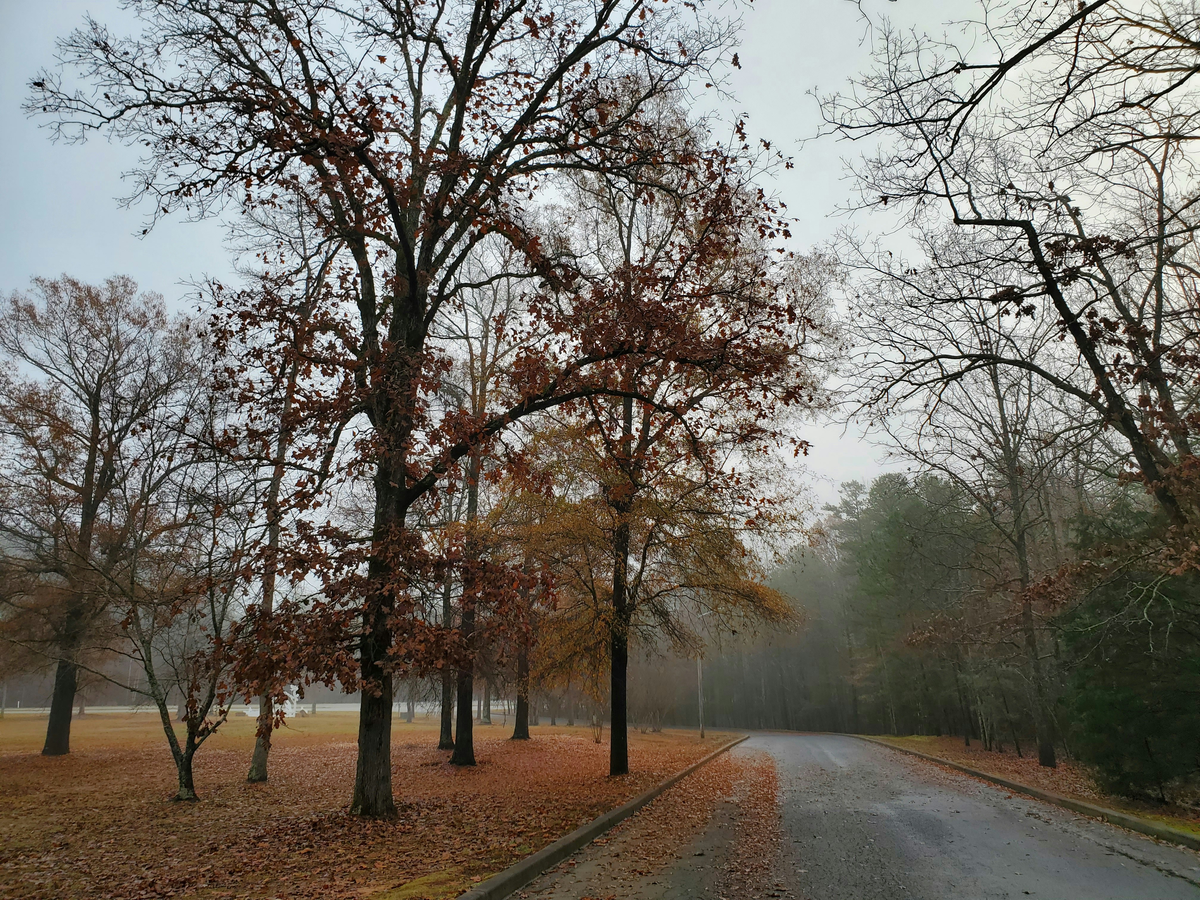 Photo by karolinabobek