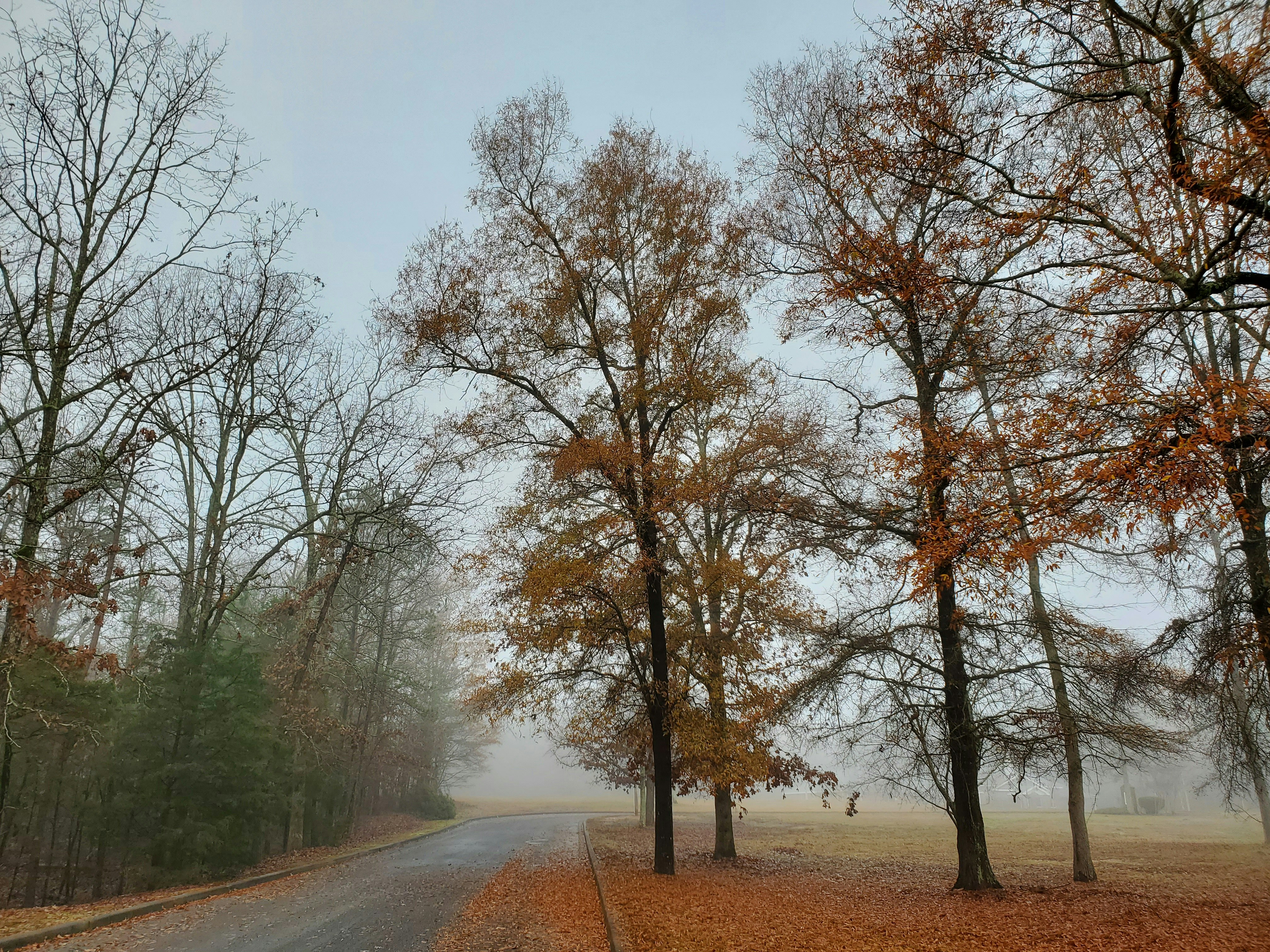 Photo by karolinabobek