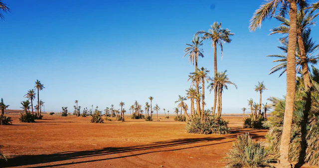Rental SUV slowing down at a roadside checkpoint on a Moroccan national road with orange cones and the Atlas mountains behind
