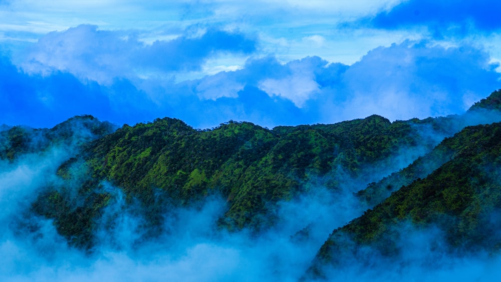 a landscape with trees and clouds