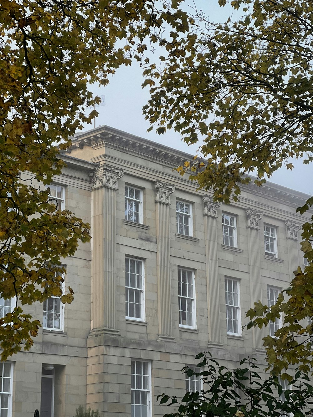 a building with trees in the front