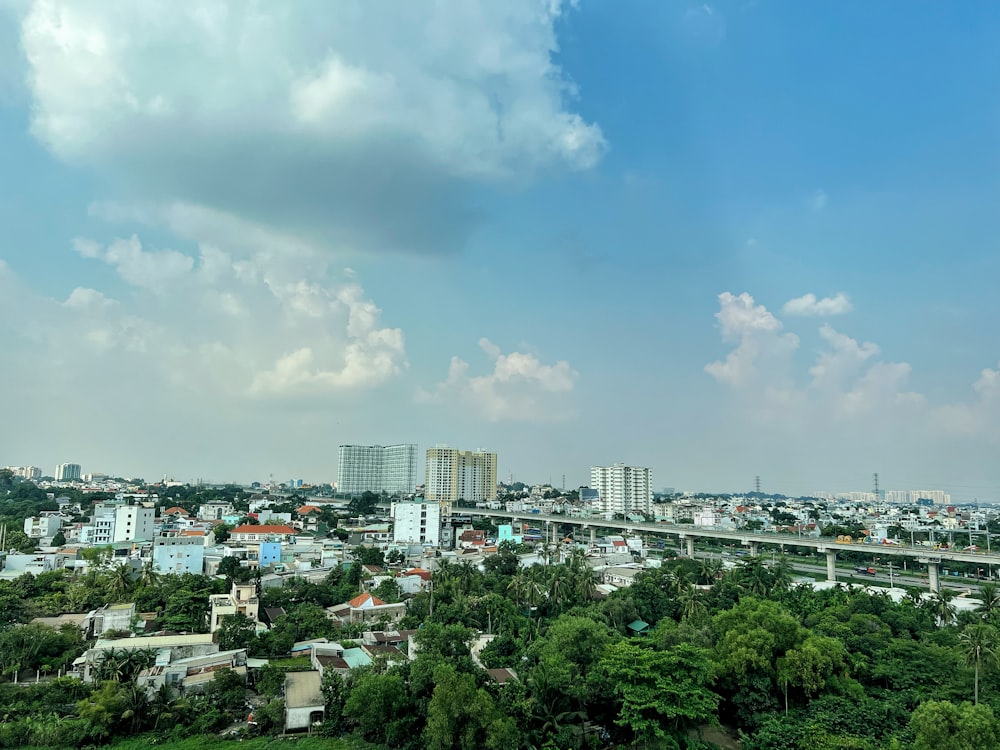 a city with trees and buildings