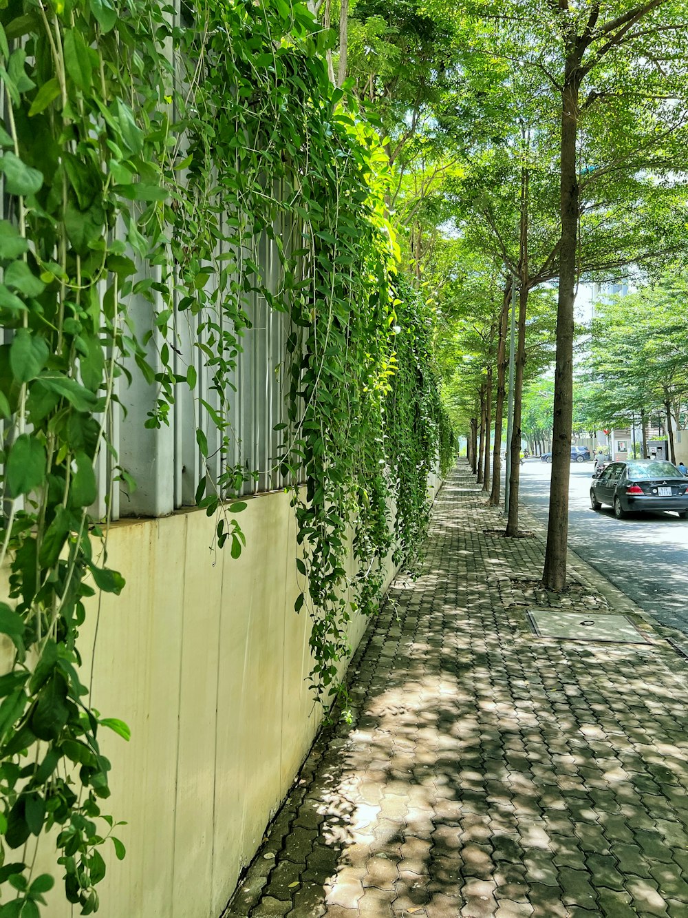 a wall with vines growing on it