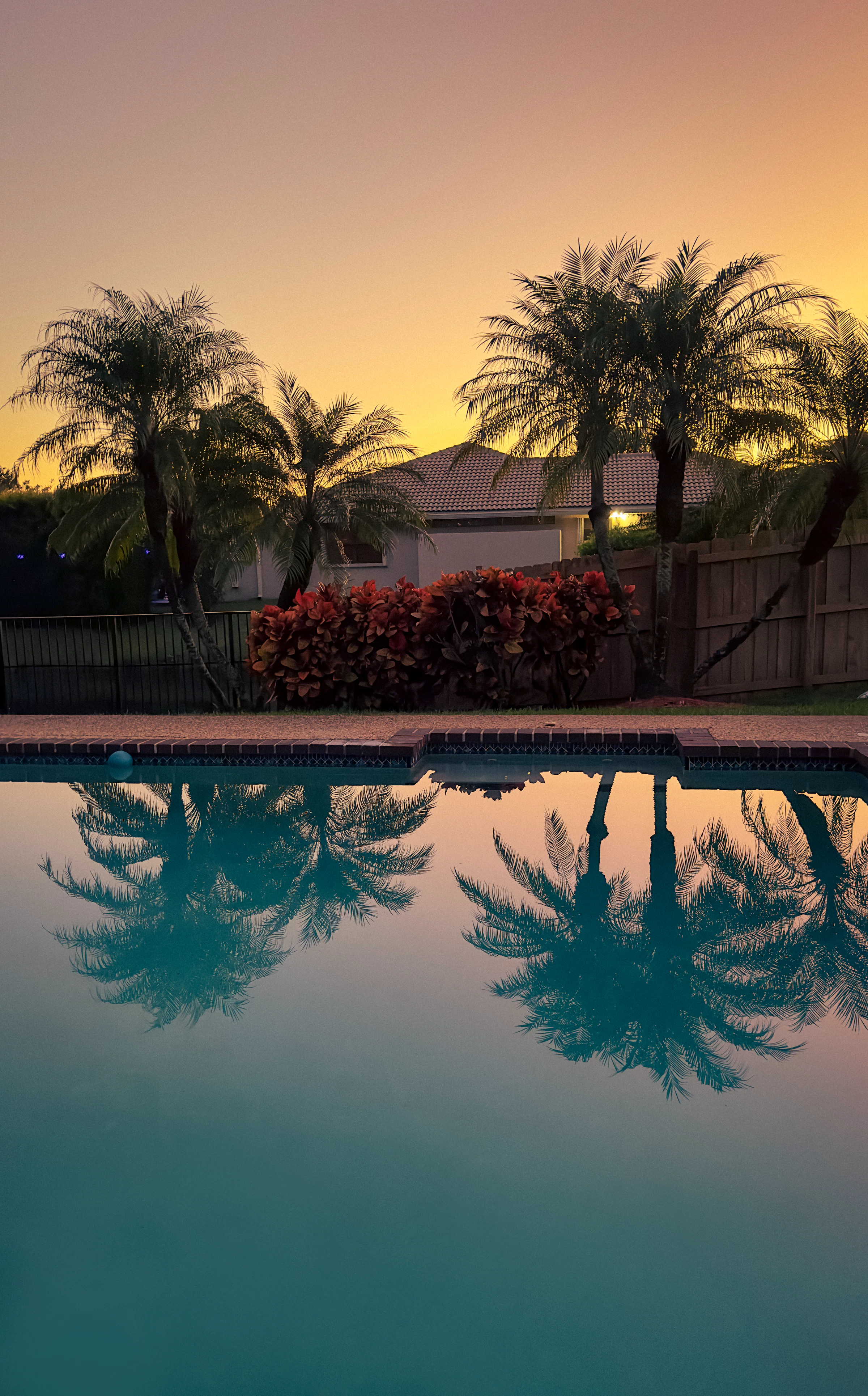 Palm trees silhouetted against a sunset sky, reflected in a backyard pool