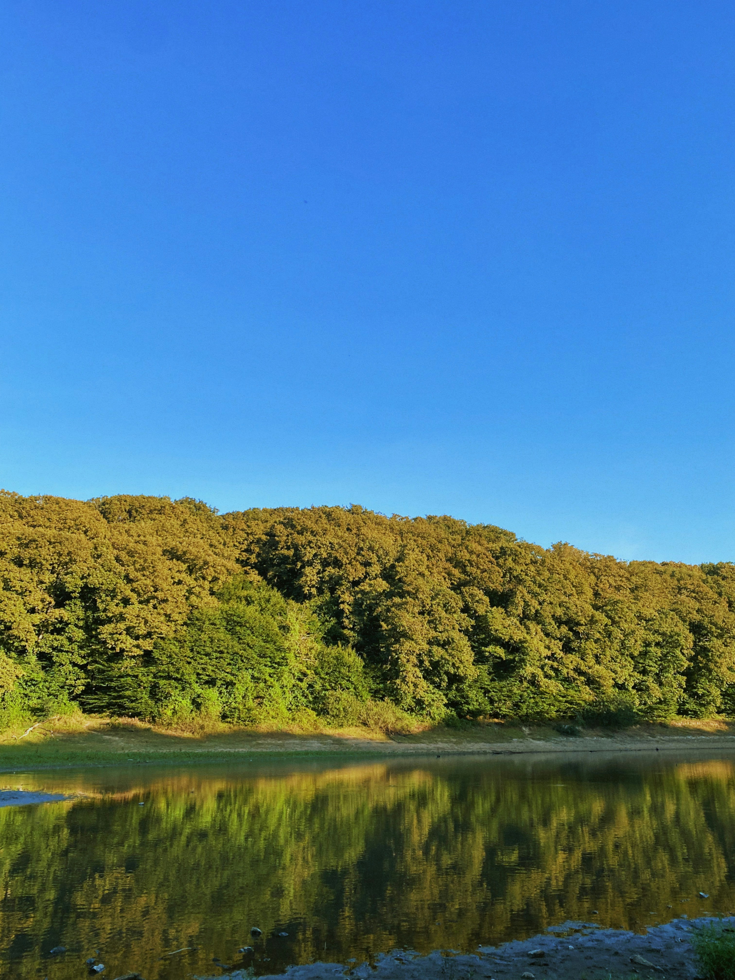 Photo by berkturanbt