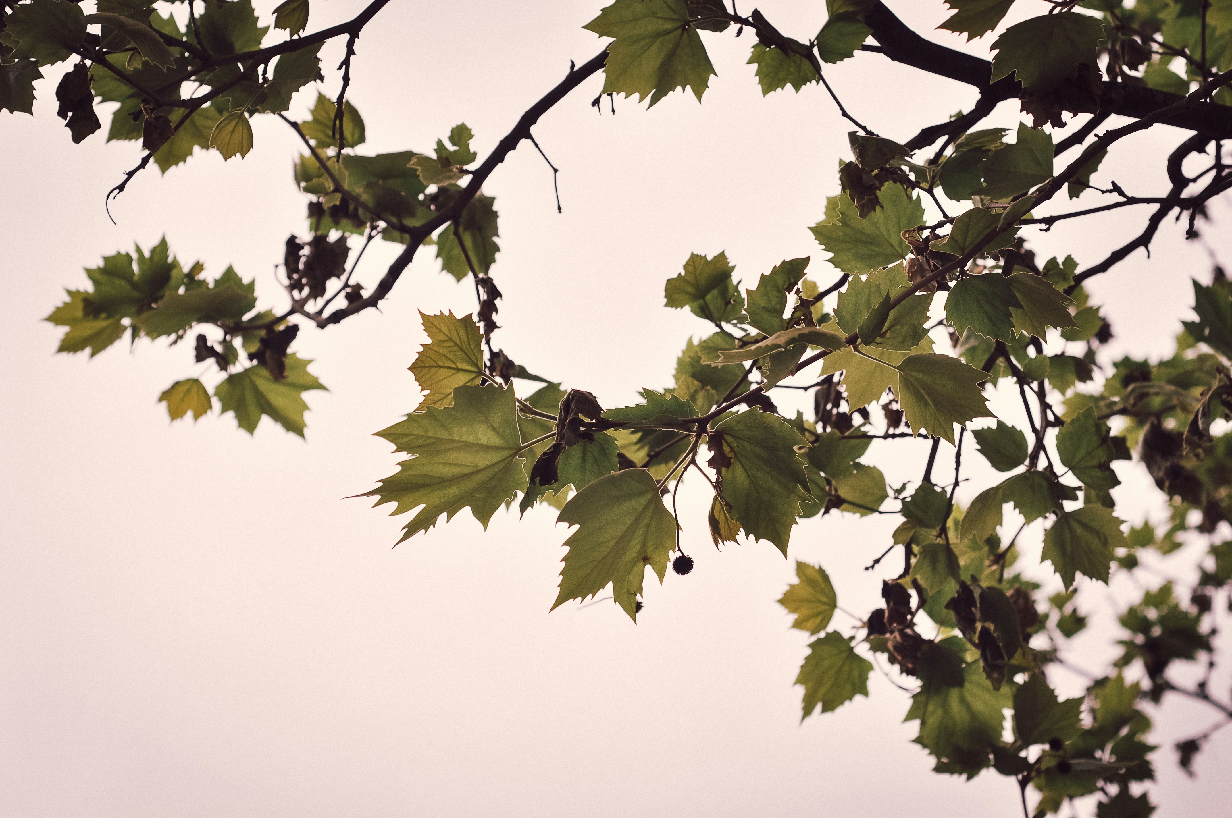 Photo by arundathijohn