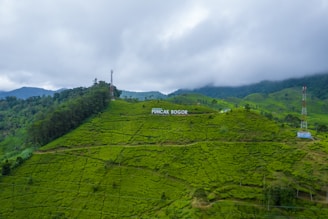 A picturesque view of mountains in Puncak.