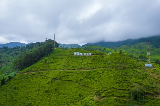 A lush green hillside landscape with a large white sign reading 'PUNCAK BOGOR' set against a backdrop of rolling hills and partly cloudy skies. The area is covered with dense vegetation and a few scattered trees, creating a serene and natural atmosphere. In the distance, there are hills with additional greenery.