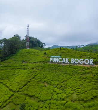 a large green hill with a sign on it